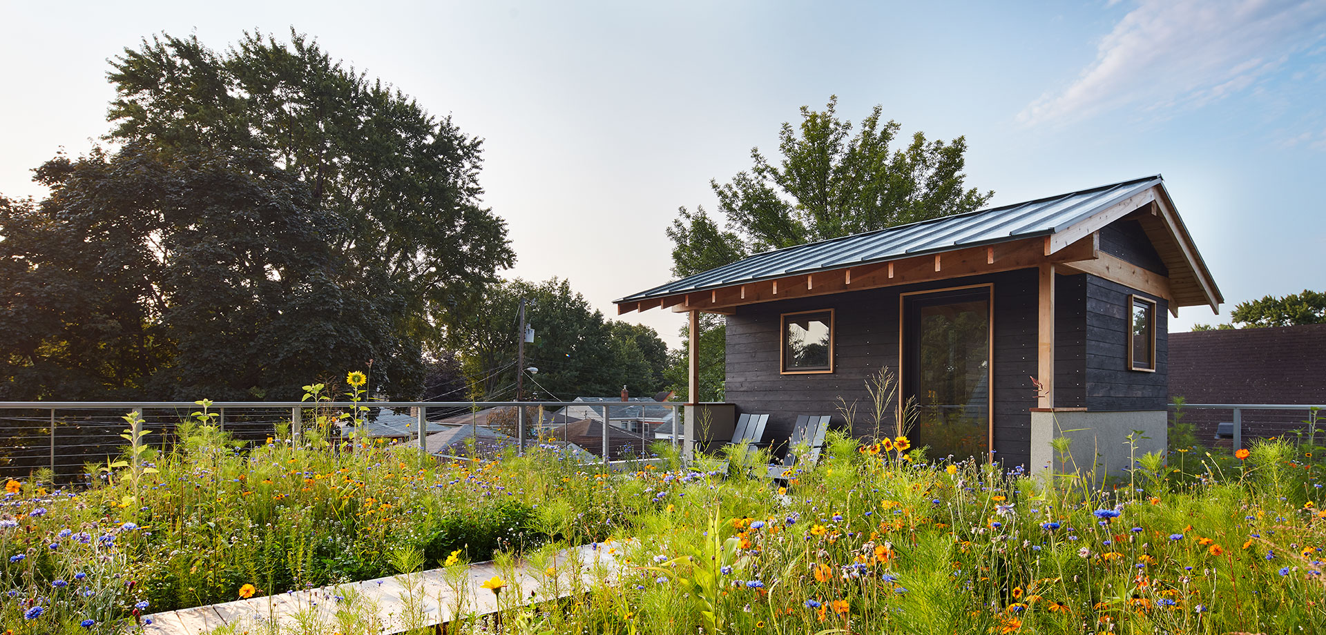 Rooftop Sauna Jody McGuire