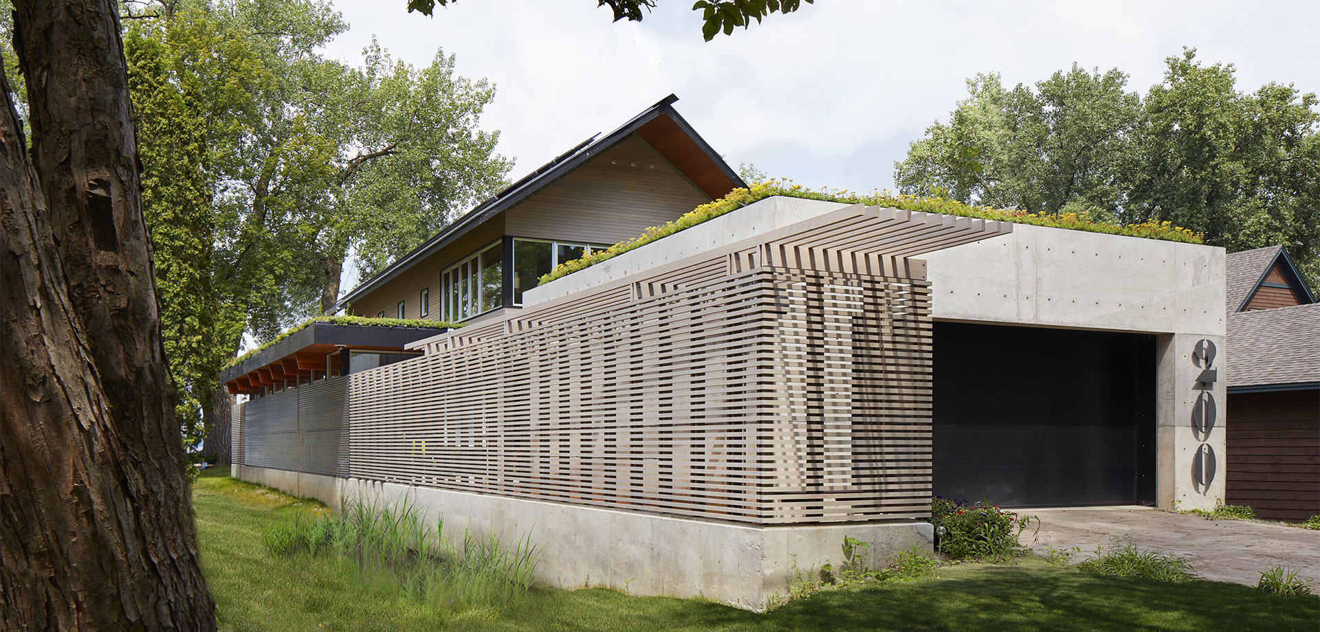 Grey Duck David Wagner